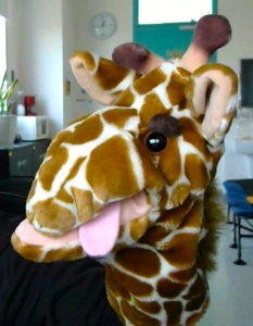 Greg's NVC Giraffe